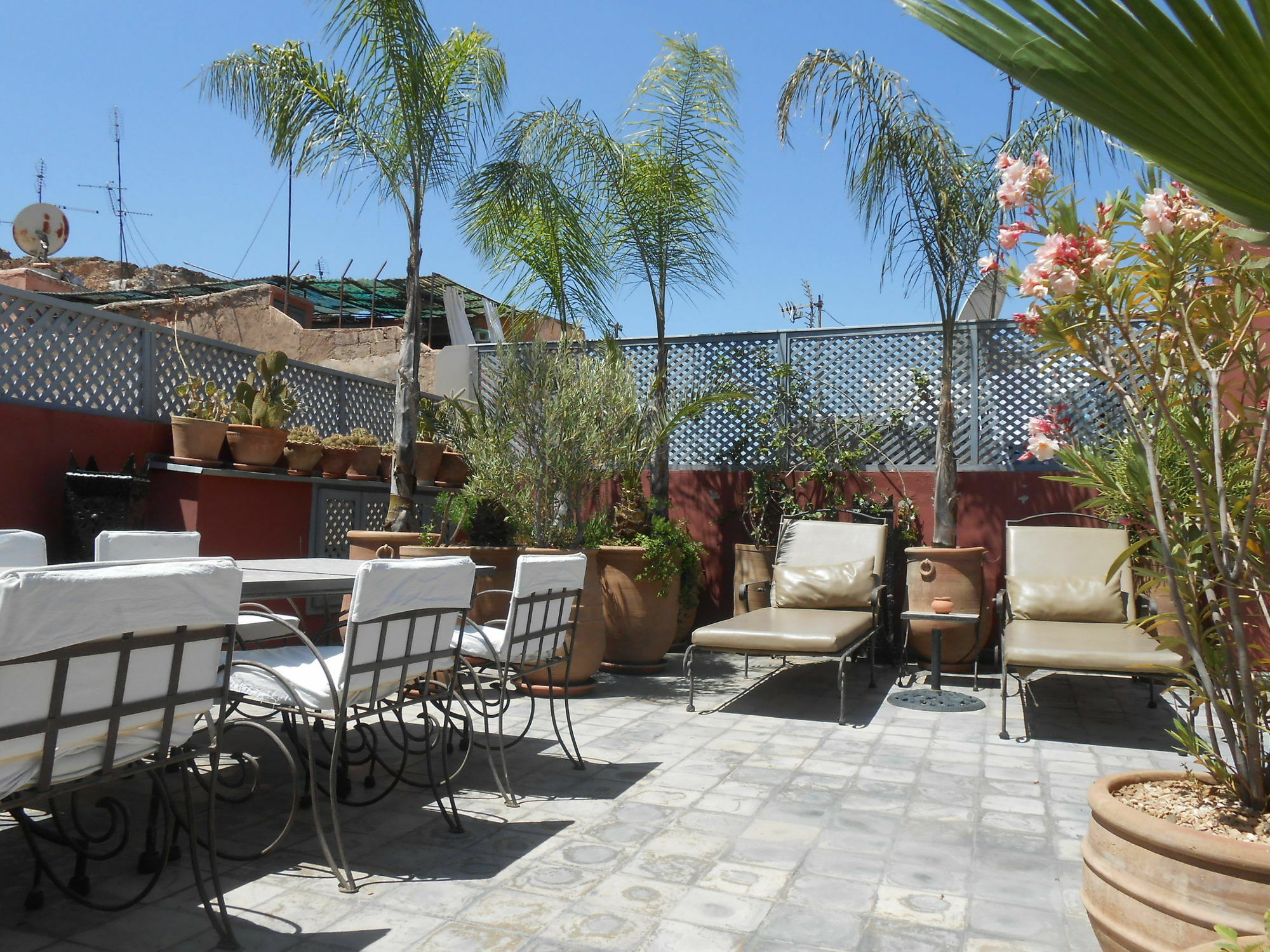 Riad Alegria Hotel Marrakesh Exterior photo